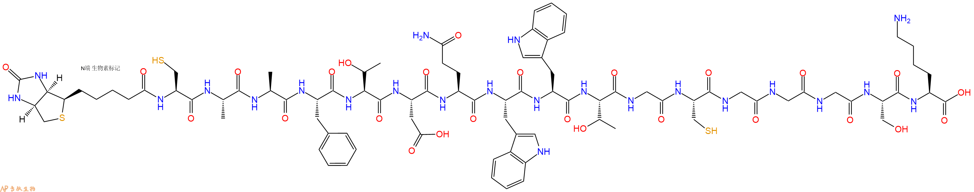 專肽生物產(chǎn)品Biotinyl-Cys-Ala-Ala-Phe-Thr-Asp-Gln-Trp-Trp-Thr-Gly-Cys-Gly-Gly-Gly-Ser-Lys-OH