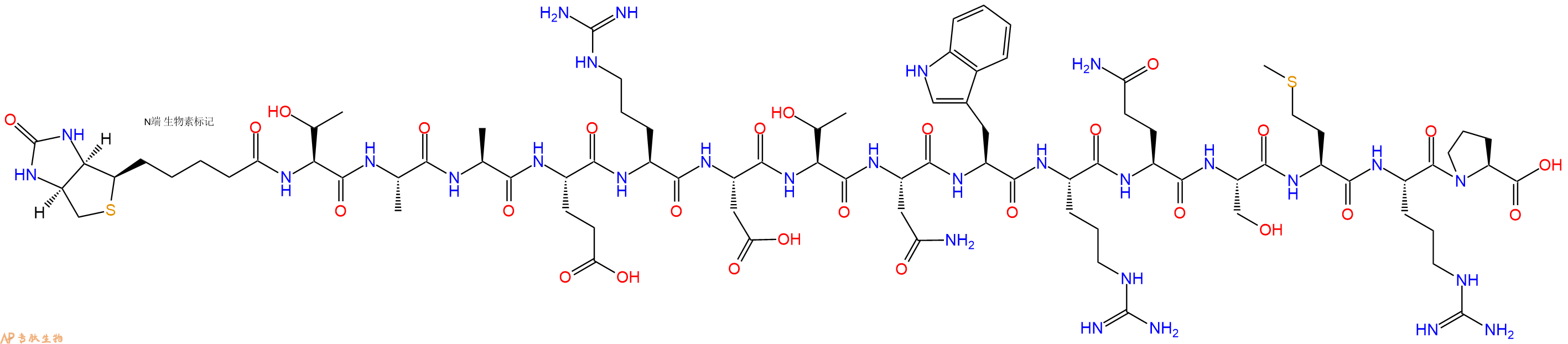 專肽生物產(chǎn)品Biotinyl-Thr-Ala-Ala-Glu-Arg-Asp-Thr-Asn-Trp-Arg-Gln-Ser-Met-Arg-Pro-OH