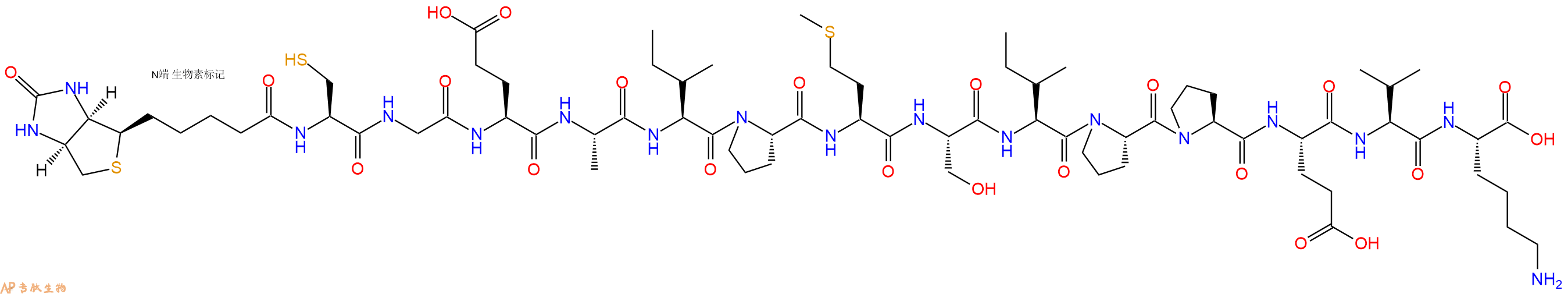 專(zhuān)肽生物產(chǎn)品Biotinyl-Cys-Gly-Glu-Ala-Ile-Pro-Met-Ser-Ile-Pro-Pro-Glu-Val-Lys-OH
