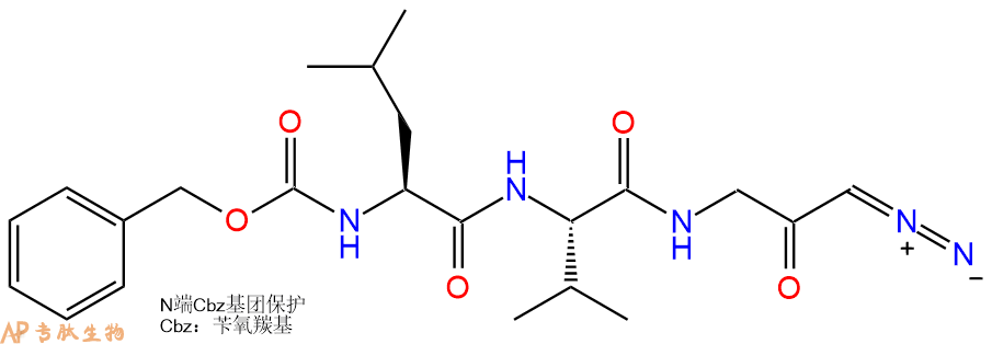 專(zhuān)肽生物產(chǎn)品Cbz-Leu-Val-Gly-diazomethylketone119670-30-3
