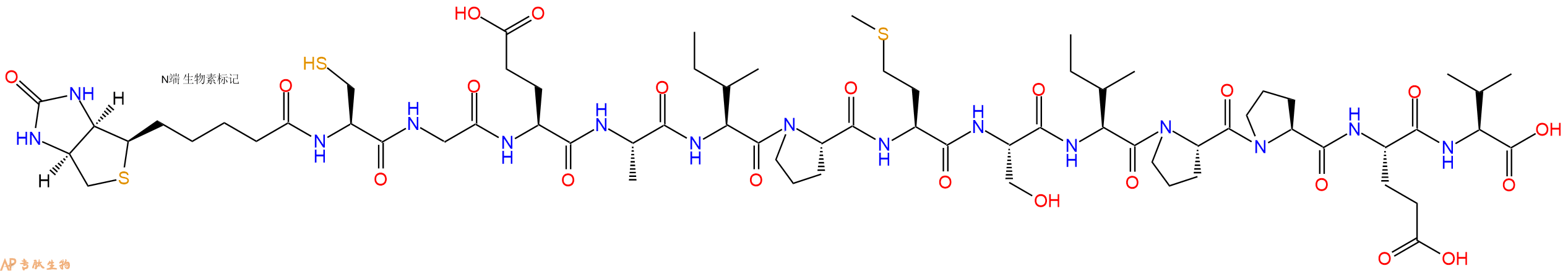 專肽生物產(chǎn)品Biotinyl-Cys-Gly-Glu-Ala-Ile-Pro-Met-Ser-Ile-Pro-Pro-Glu-Val-OH