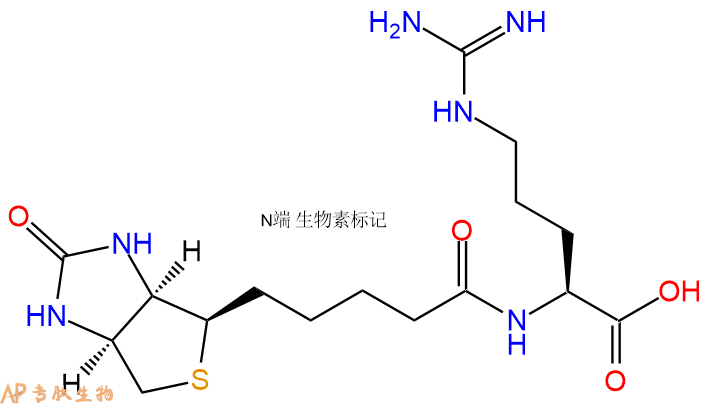 專肽生物產(chǎn)品Biotinyl-Arg-OH