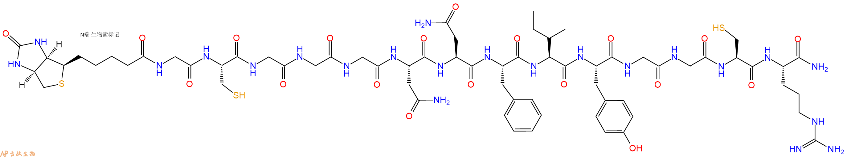 專肽生物產品Biotinyl-Gly-Cys-Gly-Gly-Gly-Asn-Asn-Phe-Ile-Tyr-Gly-Gly-Cys-Arg-CONH2