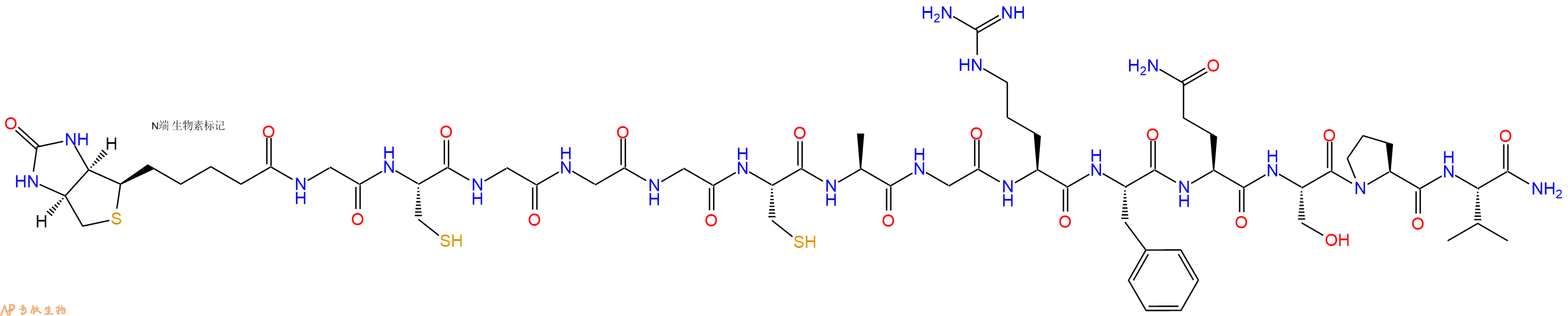 專肽生物產品Biotinyl-Gly-Cys-Gly-Gly-Gly-Cys-Ala-Gly-Arg-Phe-Gln-Ser-Pro-Val-CONH2