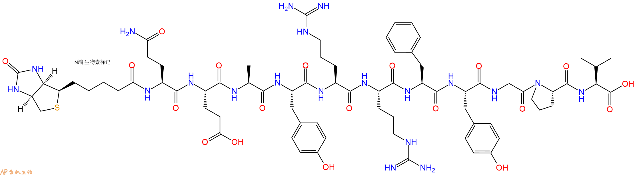 專(zhuān)肽生物產(chǎn)品Biotinyl-Gln-Glu-Ala-Tyr-Arg-Arg-Phe-Tyr-Gly-Pro-Val-OH