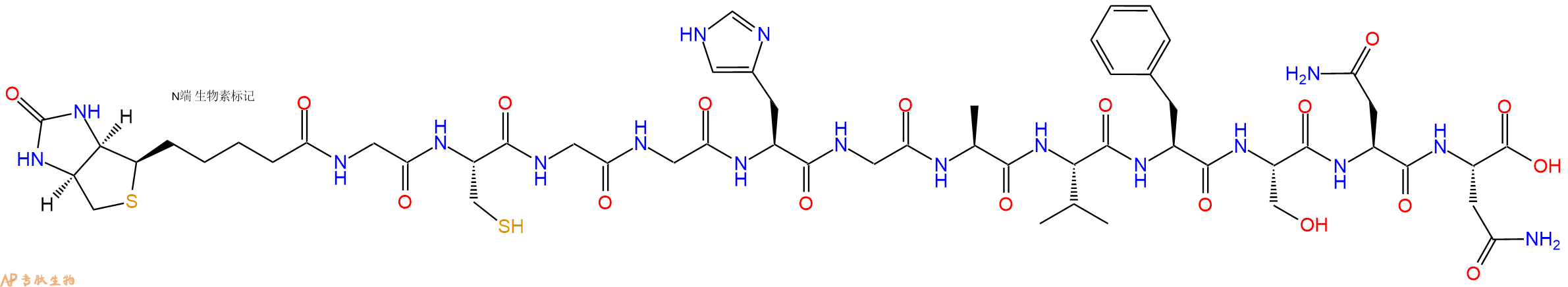 專肽生物產(chǎn)品Biotinyl-Gly-Cys-Gly-Gly-His-Gly-Ala-Val-Phe-Ser-Asn-Asn-OH