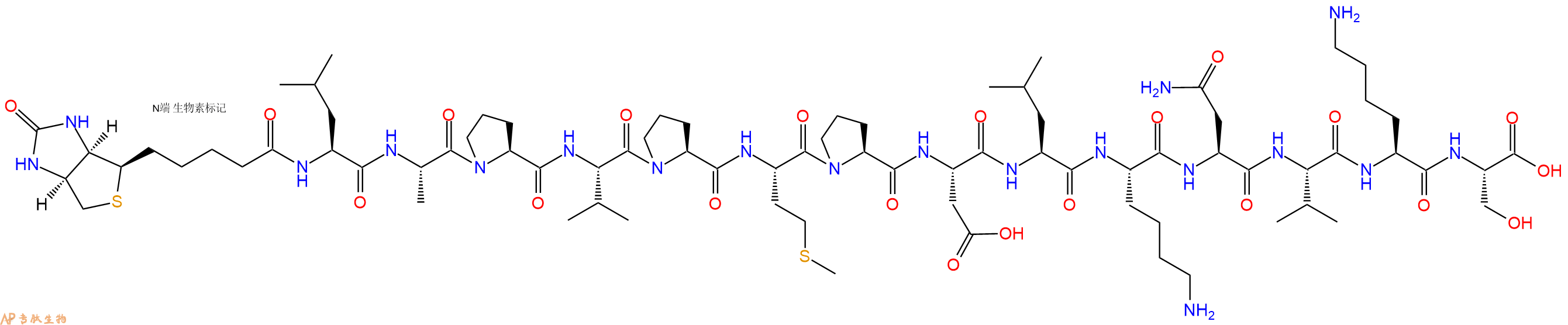 專(zhuān)肽生物產(chǎn)品Biotinyl-Leu-Ala-Pro-Val-Pro-Met-Pro-Asp-Leu-Lys-Asn-Val-Lys-Ser-OH