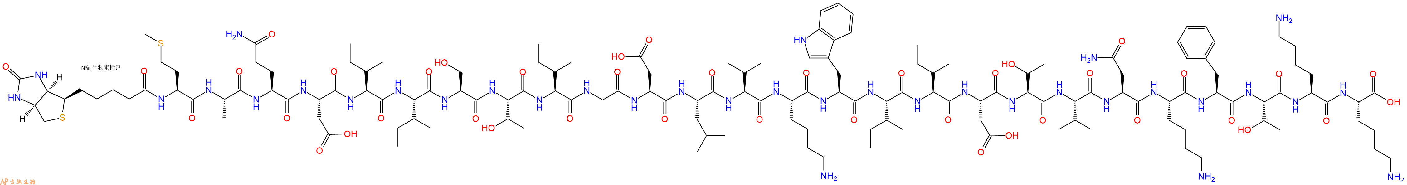 專肽生物產(chǎn)品Biotinyl-Met-Ala-Gln-Asp-Ile-Ile-Ser-Thr-Ile-Gly-Asp-Leu-Val-Lys-Trp-Ile-Ile-Asp-Thr-Val-Asn-Lys-Phe-Thr-Lys-Lys-OH