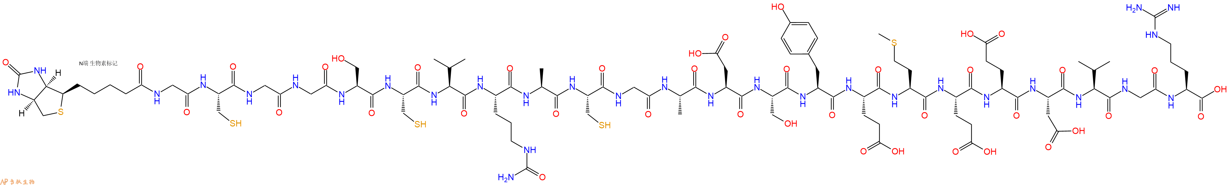 專肽生物產品Biotinyl-Gly-Cys-Gly-Gly-Ser-Cys-Val-Cit-Ala-Cys-Gly-Ala-Asp-Ser-Tyr-Glu-Met-Glu-Glu-Asp-Val-Gly-Arg-OH