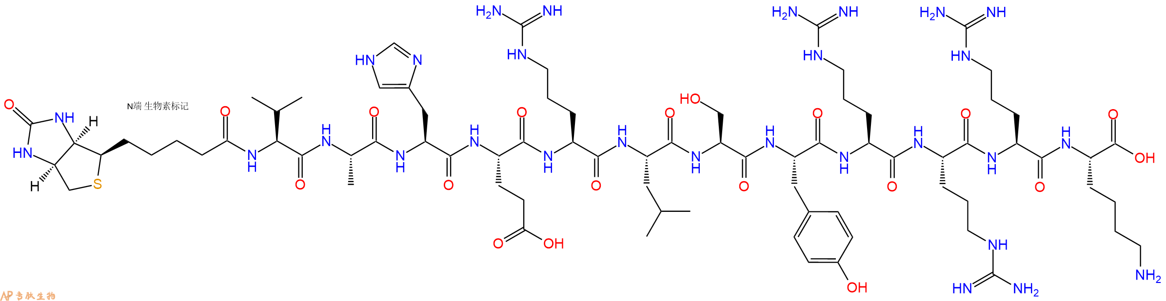 專肽生物產(chǎn)品Biotinyl-Val-Ala-His-Glu-Arg-Leu-Ser-Tyr-Arg-Arg-Arg-Lys-OH