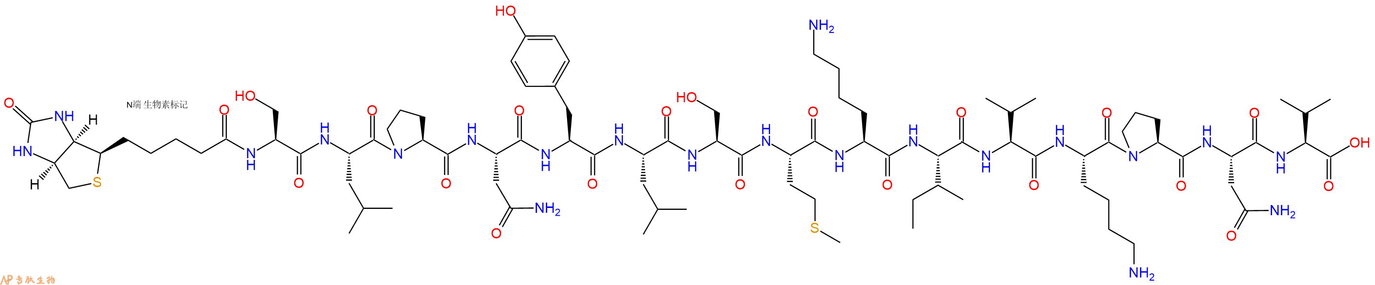 專肽生物產(chǎn)品Biotinyl-Ser-Leu-Pro-Asn-Tyr-Leu-Ser-Met-Lys-Ile-Val-Lys-Pro-Asn-Val-OH