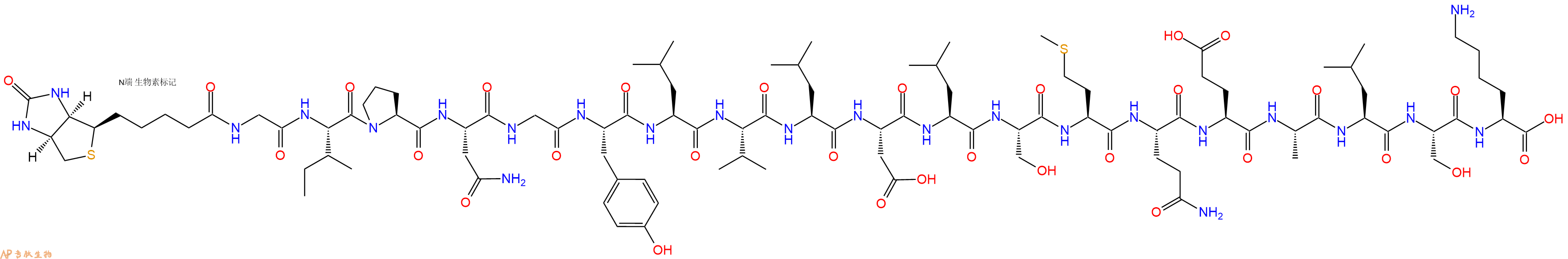 專肽生物產(chǎn)品Biotinyl-Gly-Ile-Pro-Asn-Gly-Tyr-Leu-Val-Leu-Asp-Leu-Ser-Met-Gln-Glu-Ala-Leu-Ser-Lys-OH