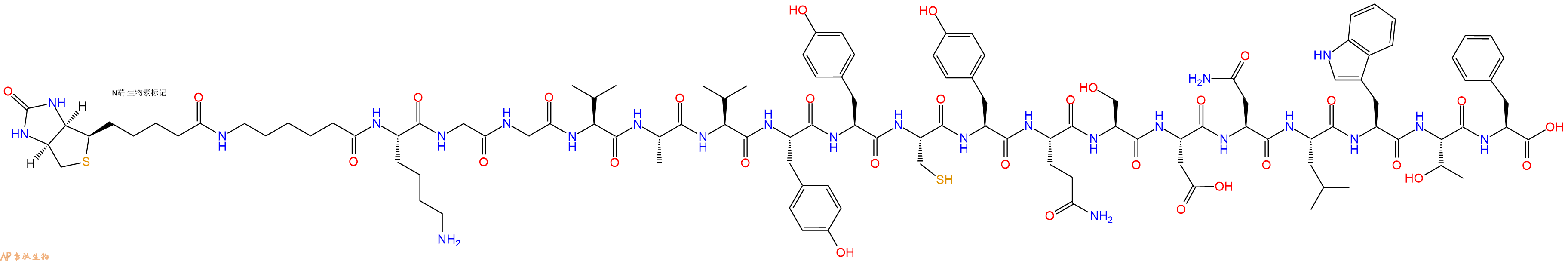 專肽生物產(chǎn)品Biotinyl-Ahx-Lys-Gly-Gly-Val-Ala-Val-Tyr-Tyr-Cys-Tyr-Gln-Ser-Asp-Asn-Leu-Trp-Thr-Phe-OH