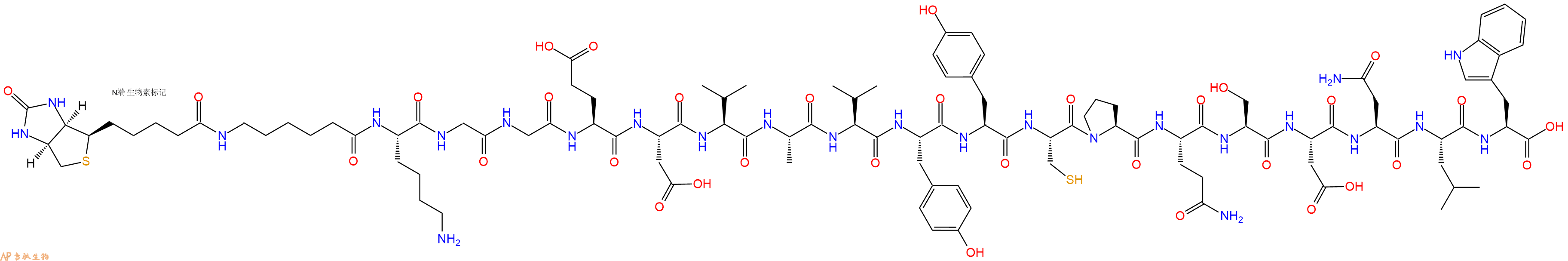 專肽生物產品Biotinyl-Ahx-Lys-Gly-Gly-Glu-Asp-Val-Ala-Val-Tyr-Tyr-Cys-Pro-Gln-Ser-Asp-Asn-Leu-Trp-OH