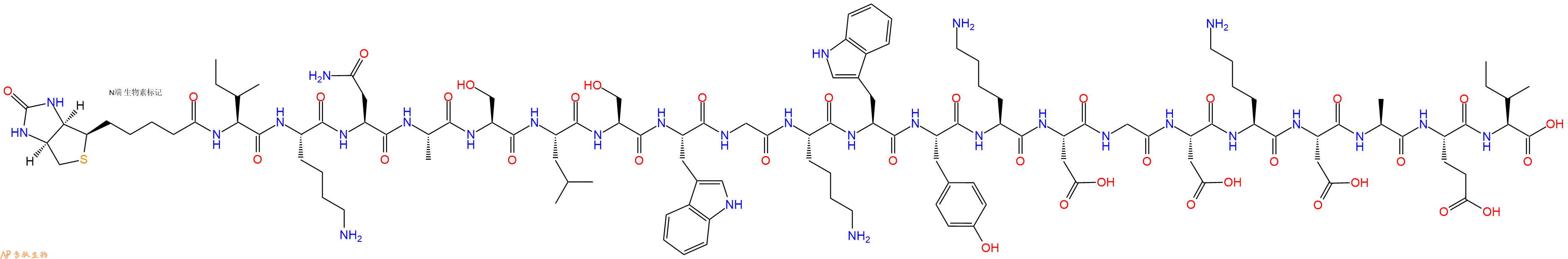 專肽生物產品Biotinyl-Ile-Lys-Asn-Ala-Ser-Leu-Ser-Trp-Gly-Lys-Trp-Tyr-Lys-Asp-Gly-Asp-Lys-Asp-Ala-Glu-Ile-OH