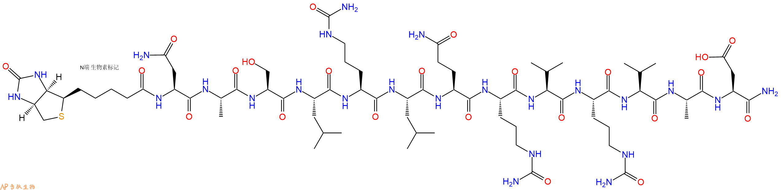 專(zhuān)肽生物產(chǎn)品Biotinyl-Asn-Ala-Ser-Leu-Cit-Leu-Gln-Cit-Val-Cit-Val-Ala-Asp-CONH2